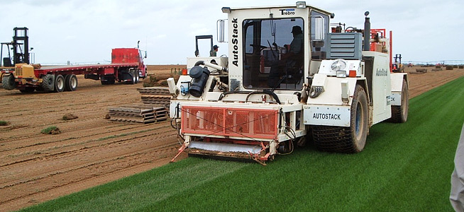 Описание процесса производства рулонного газона - купить рулонный газон в Краснодаре от производителя